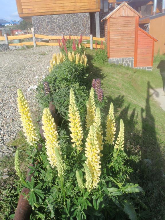 Villa Terra Incognita Ushuaia Zimmer foto